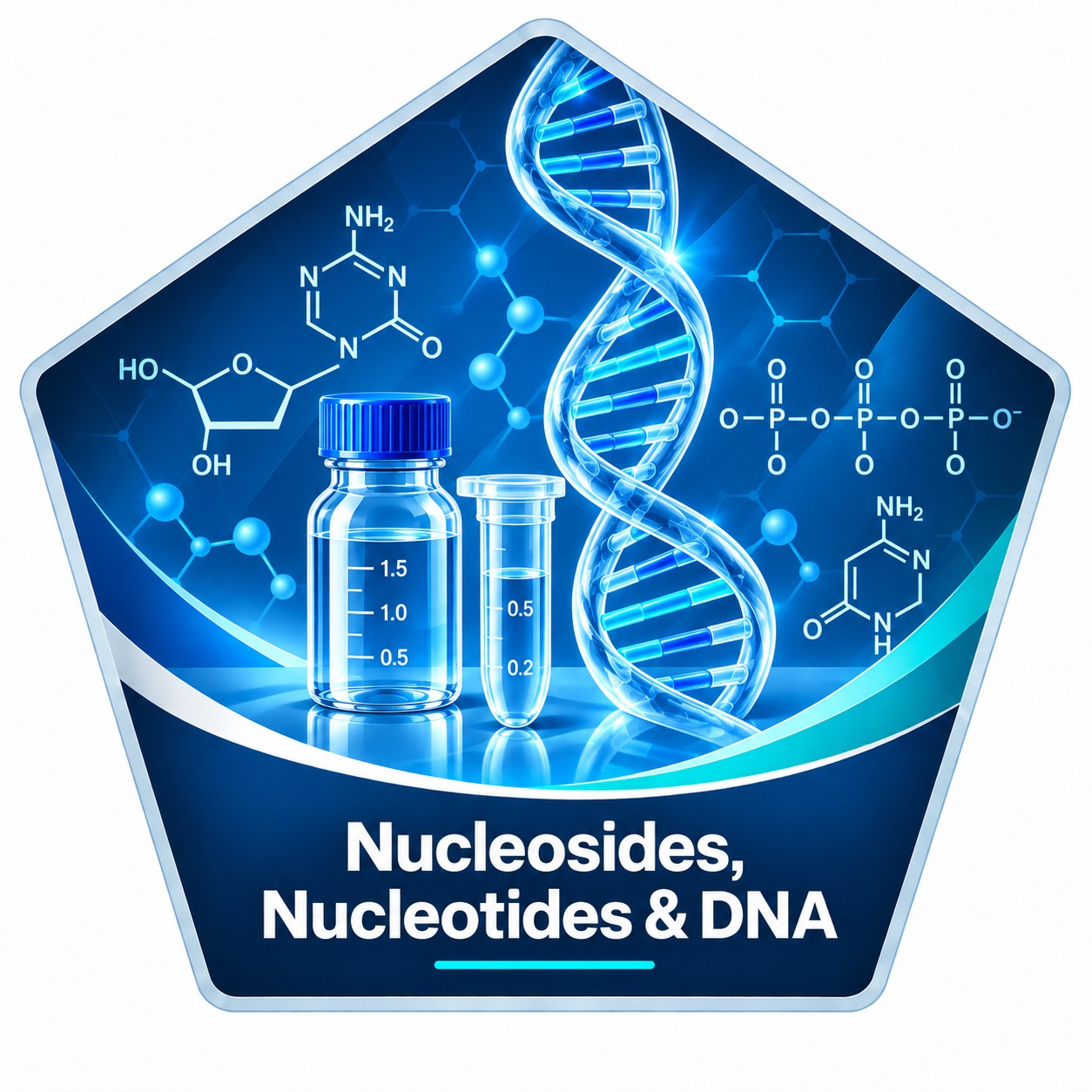 Nucleosides, Nucleotides & DNA